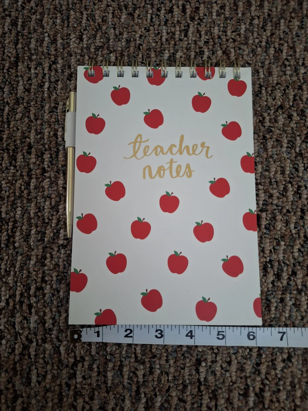 Teacher Notes Notebook with Red Apple Pattern